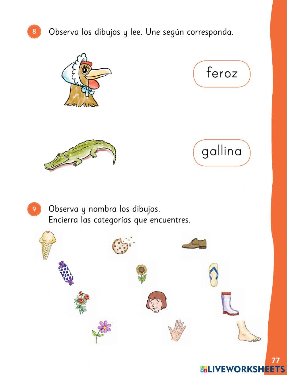 Evaluacion proceso leo primero