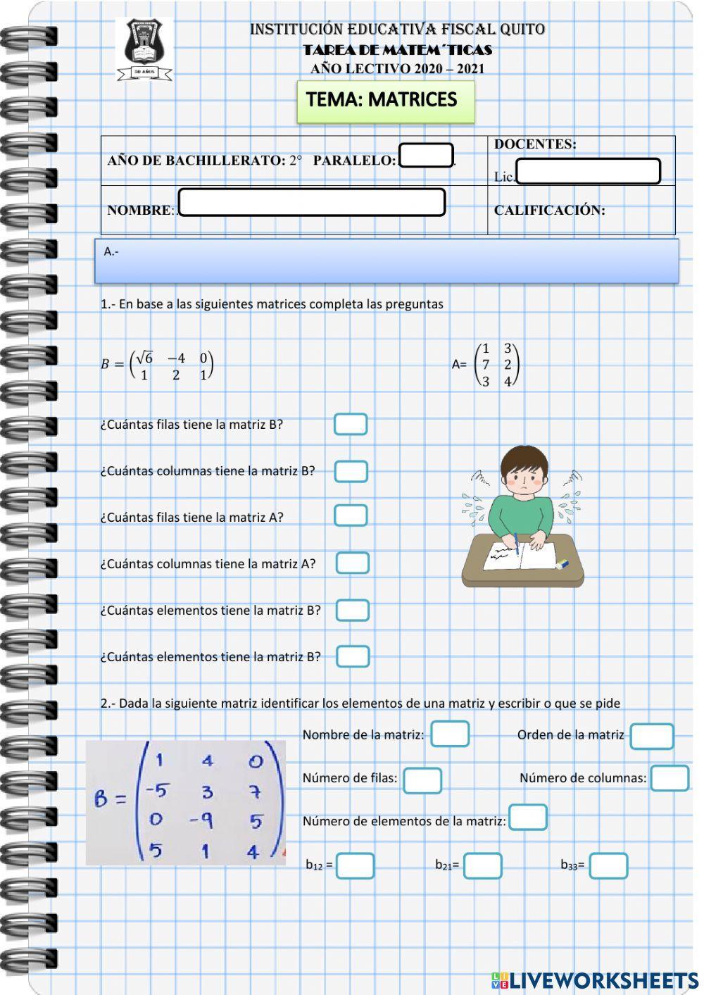 Introducción de matrices