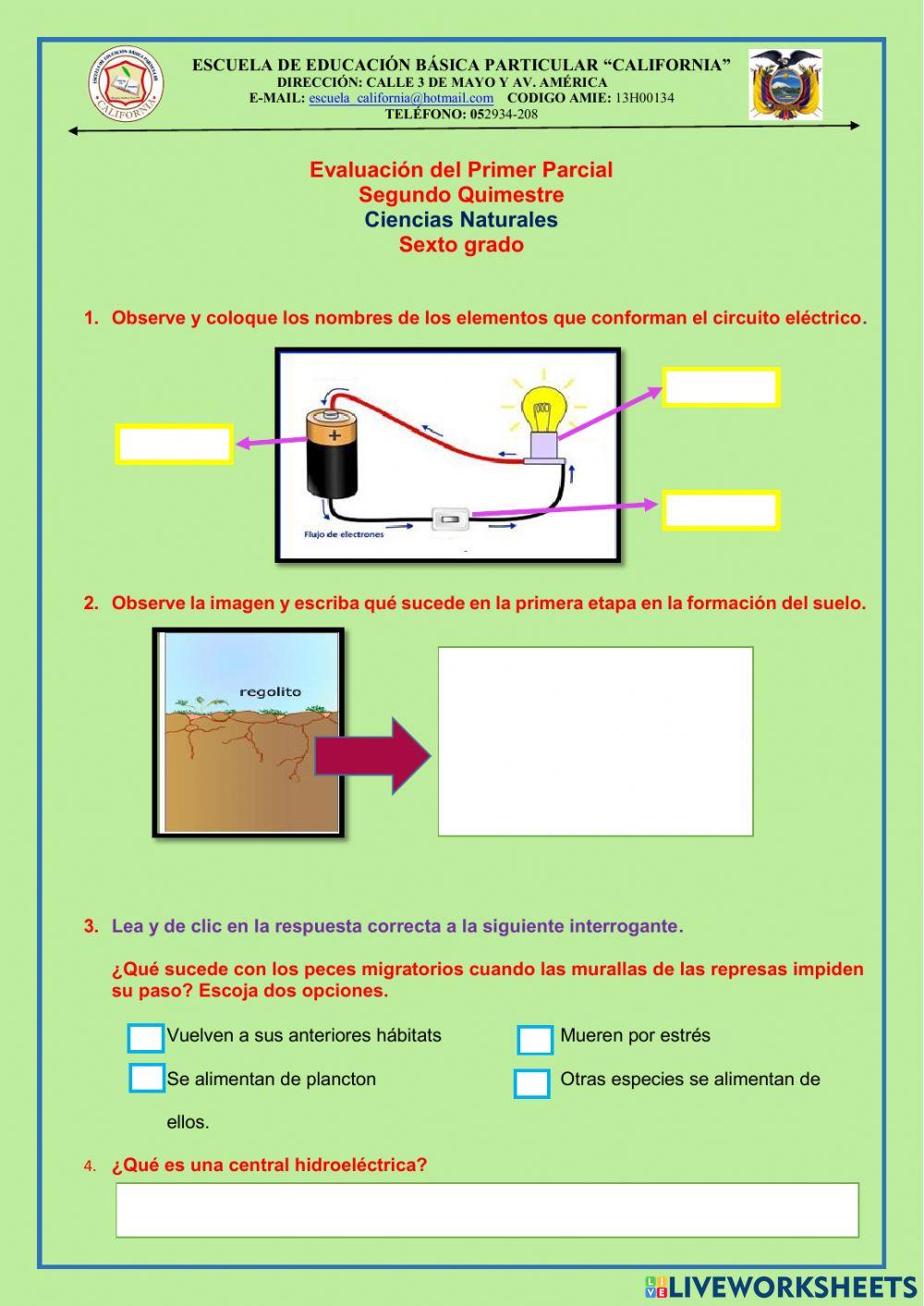 Evaluacion de ccnn de 6to. 1er. parcial del 2do. quimestre