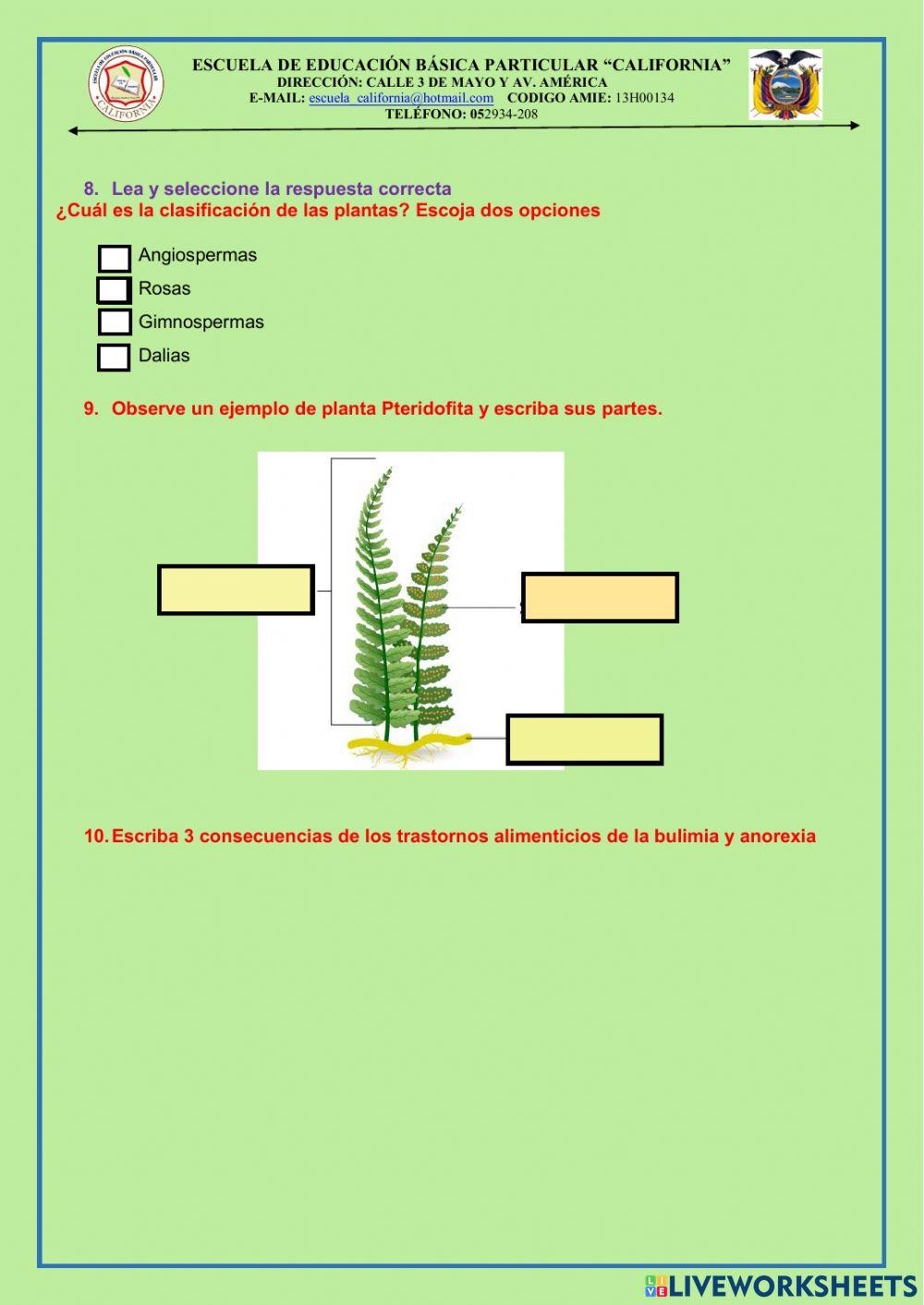 Evaluacion de ccnn de 5to. 1er. parcial del 2do. quimestre