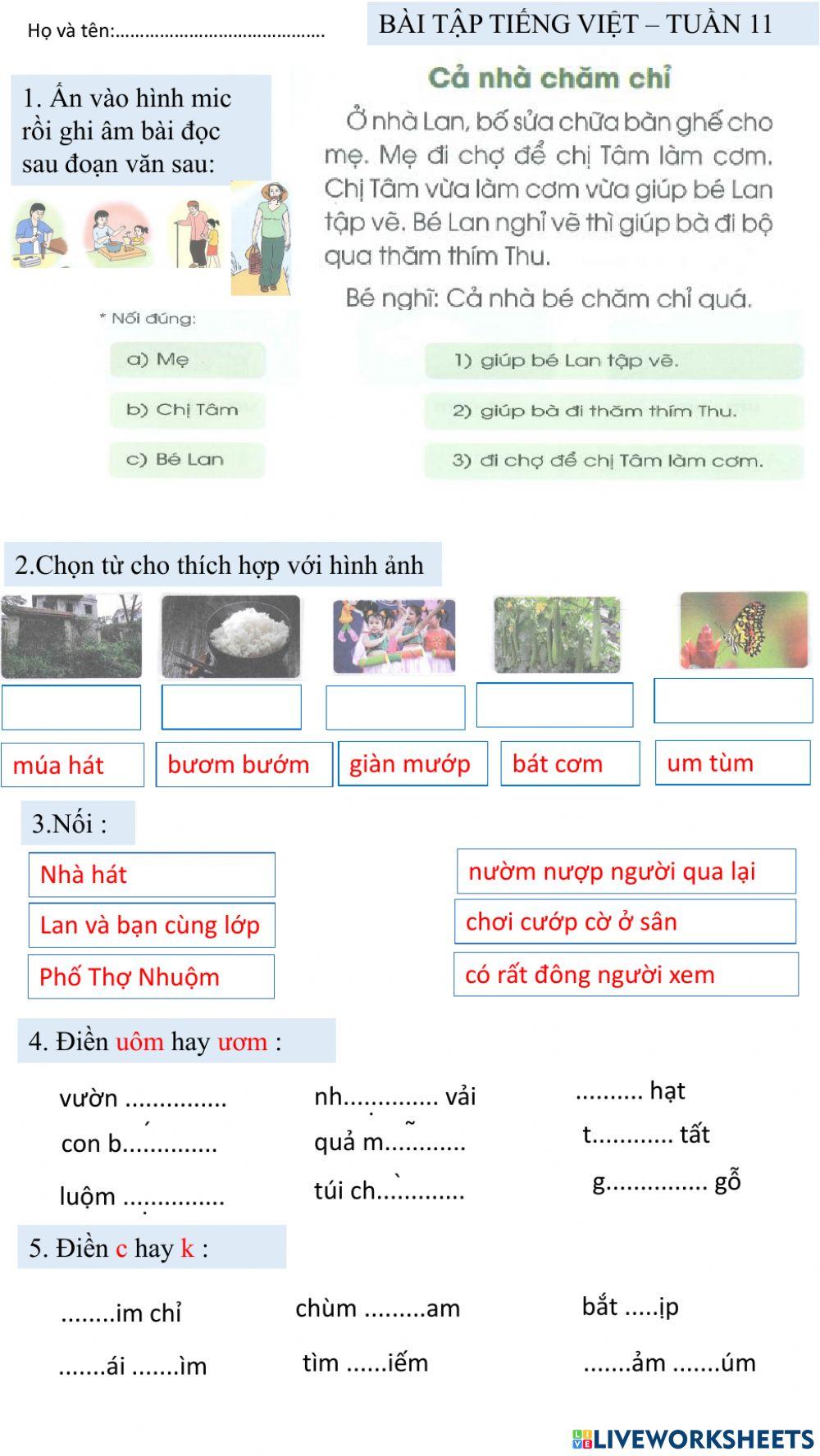 Tuần 11