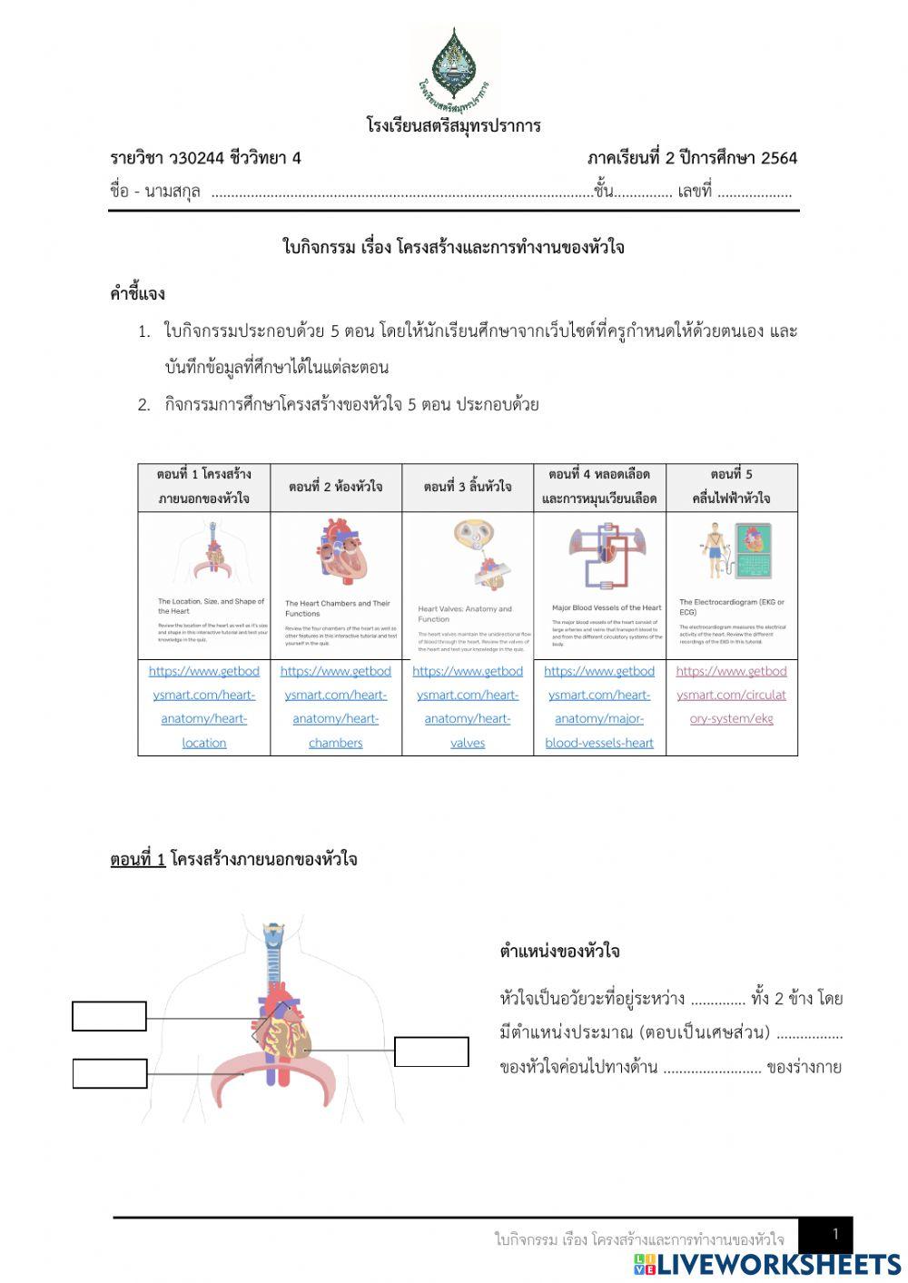 โครงสร้างและการทำงานของหัวใจ