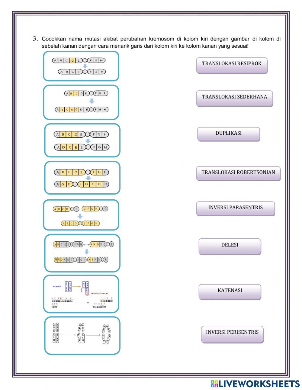 Dampak Mutasi gen dan mutasi kromosom