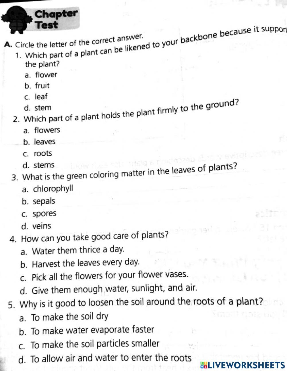 Chapter Test: Science 2