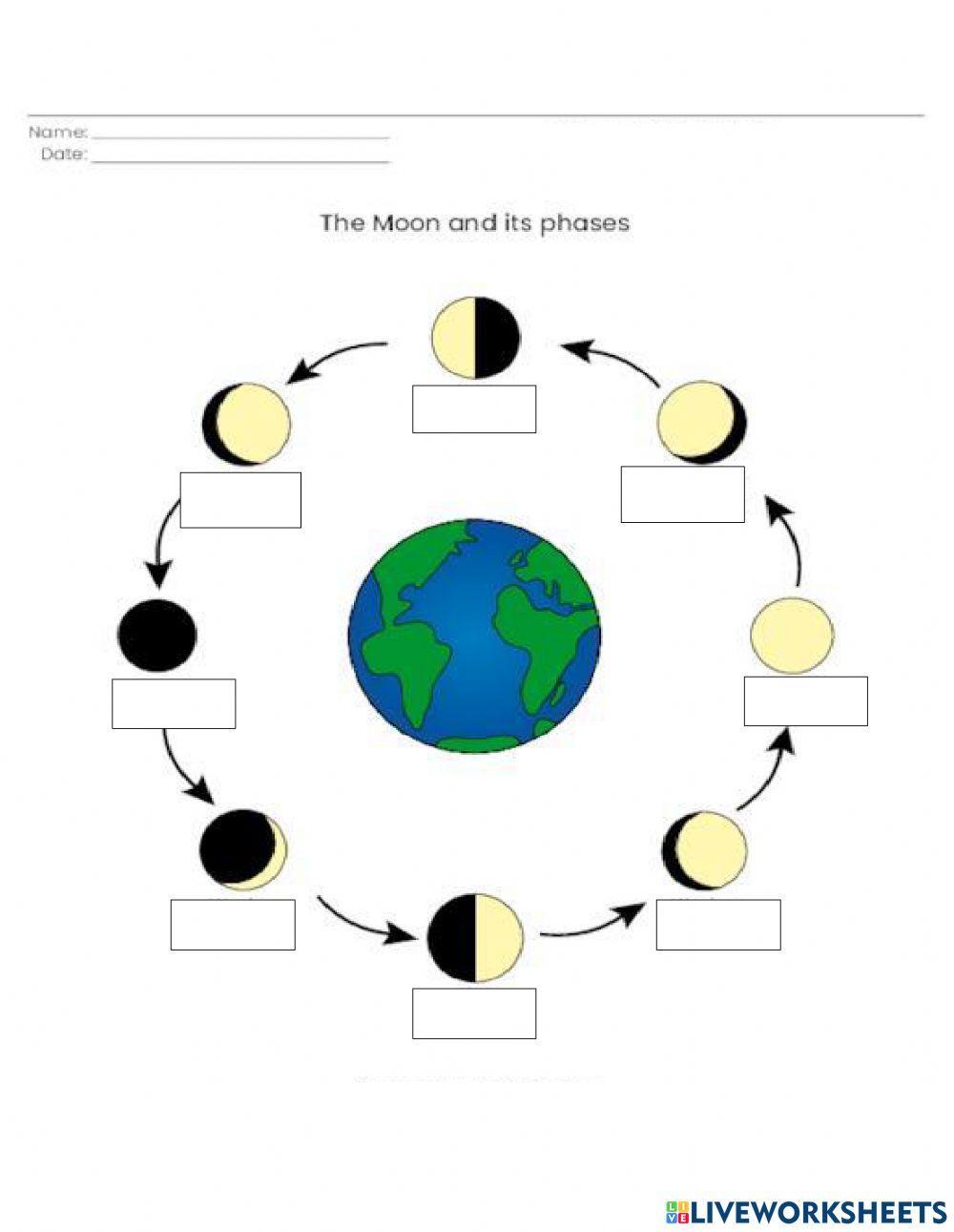 Phases of  the Moon