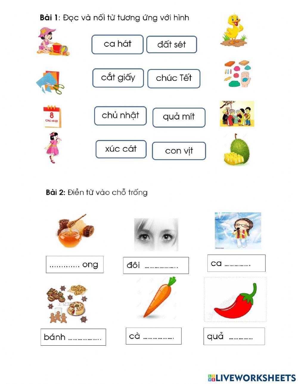 Bài tập tuần 12