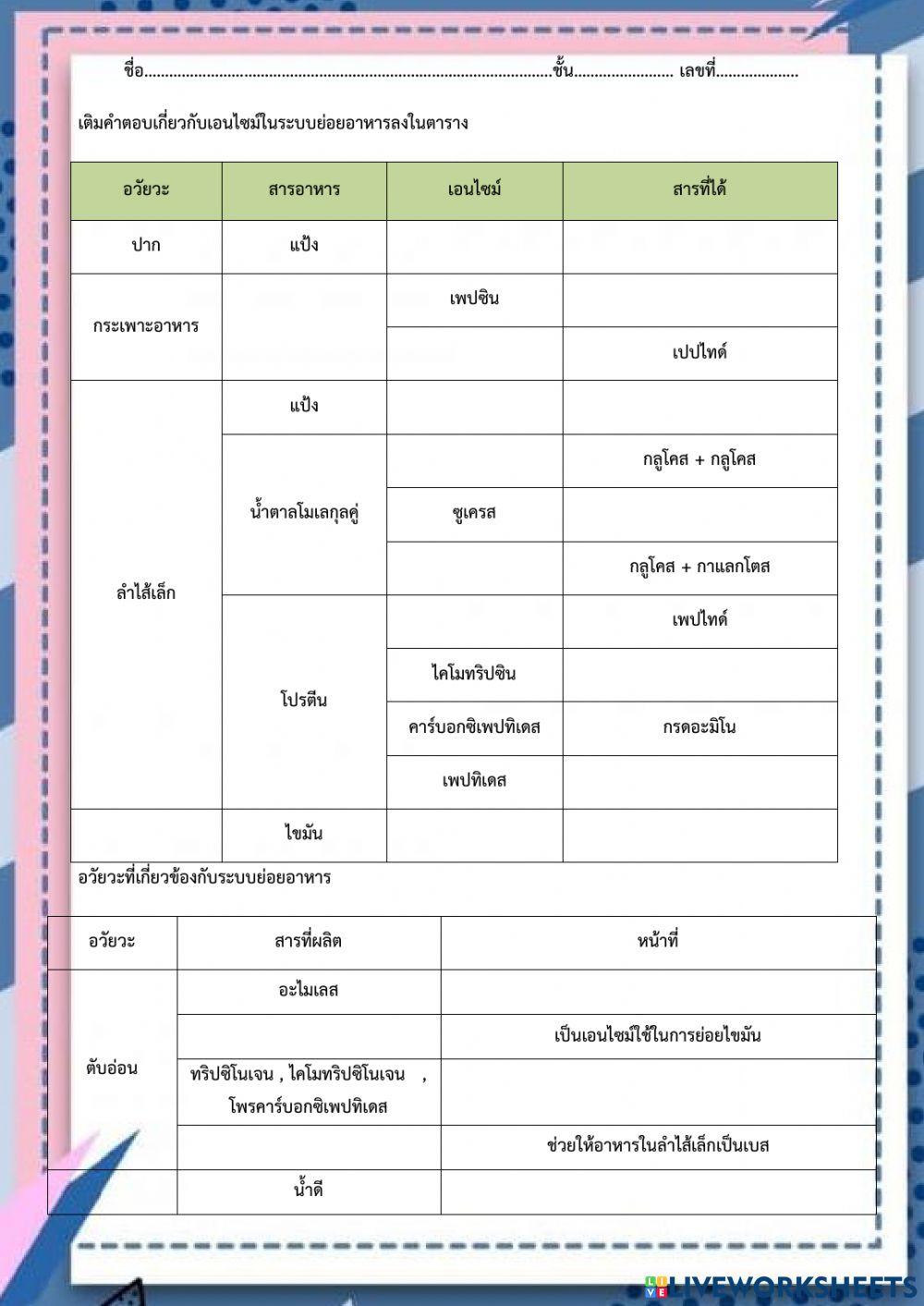 การย่อยอาหารในมนุษย์