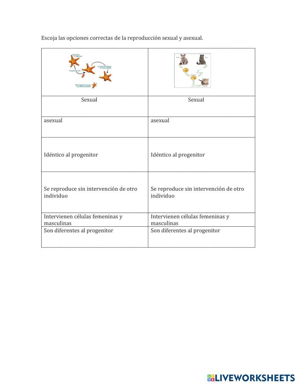 Tipos de reproducción