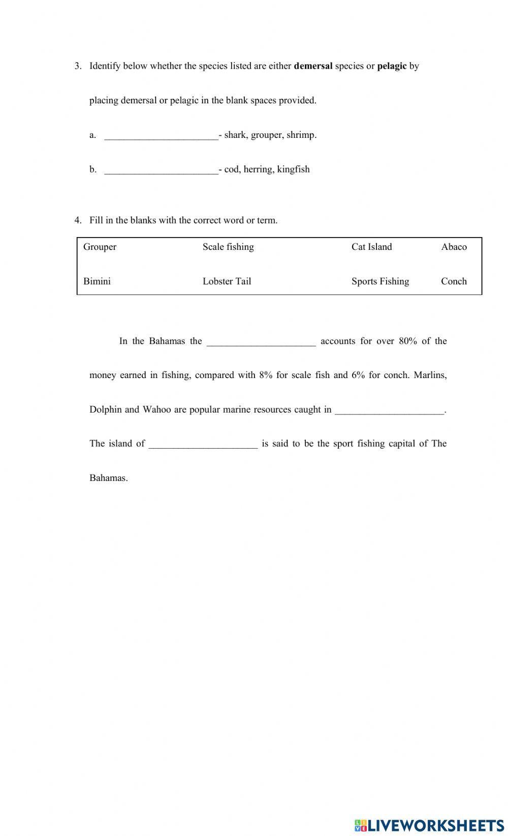 Fishing in The Bahamas