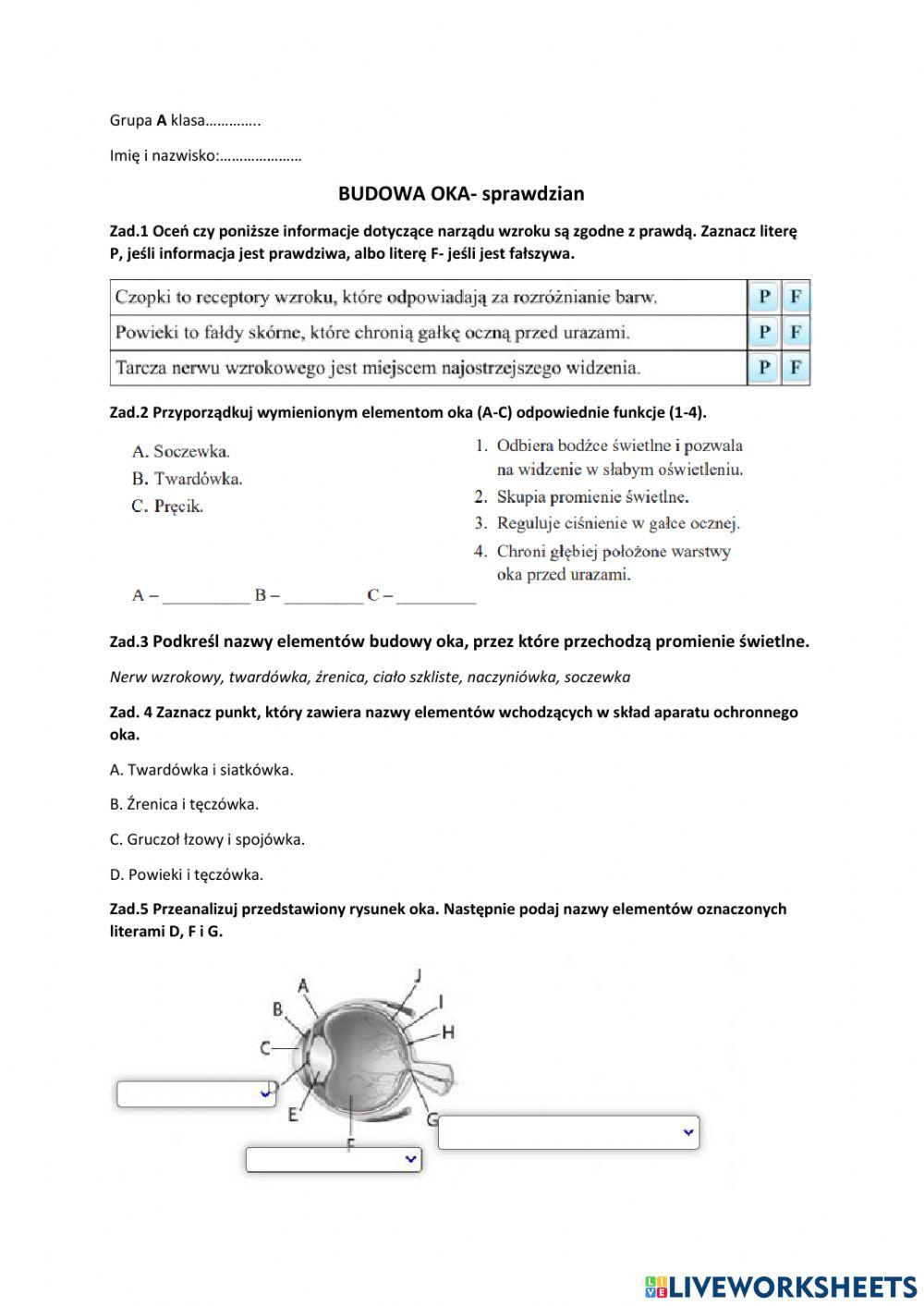 Sprawdzian z budowy oka