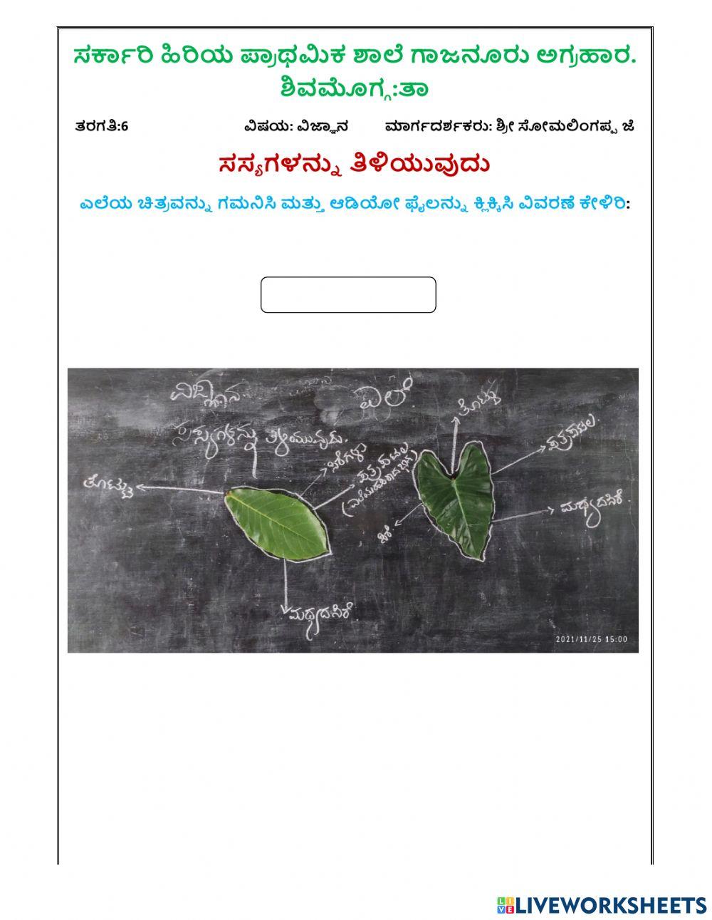 ಸಸ್ಯಗಳನ್ನು ತಿಳಿಯುವುದು