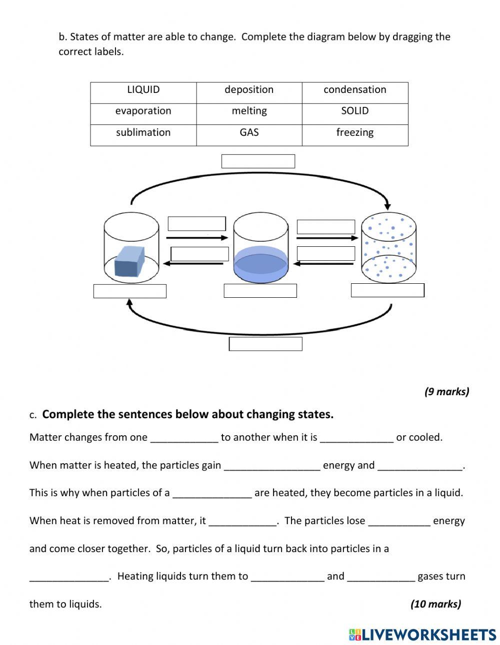 Year 8 End of Term 1 Exam 2021