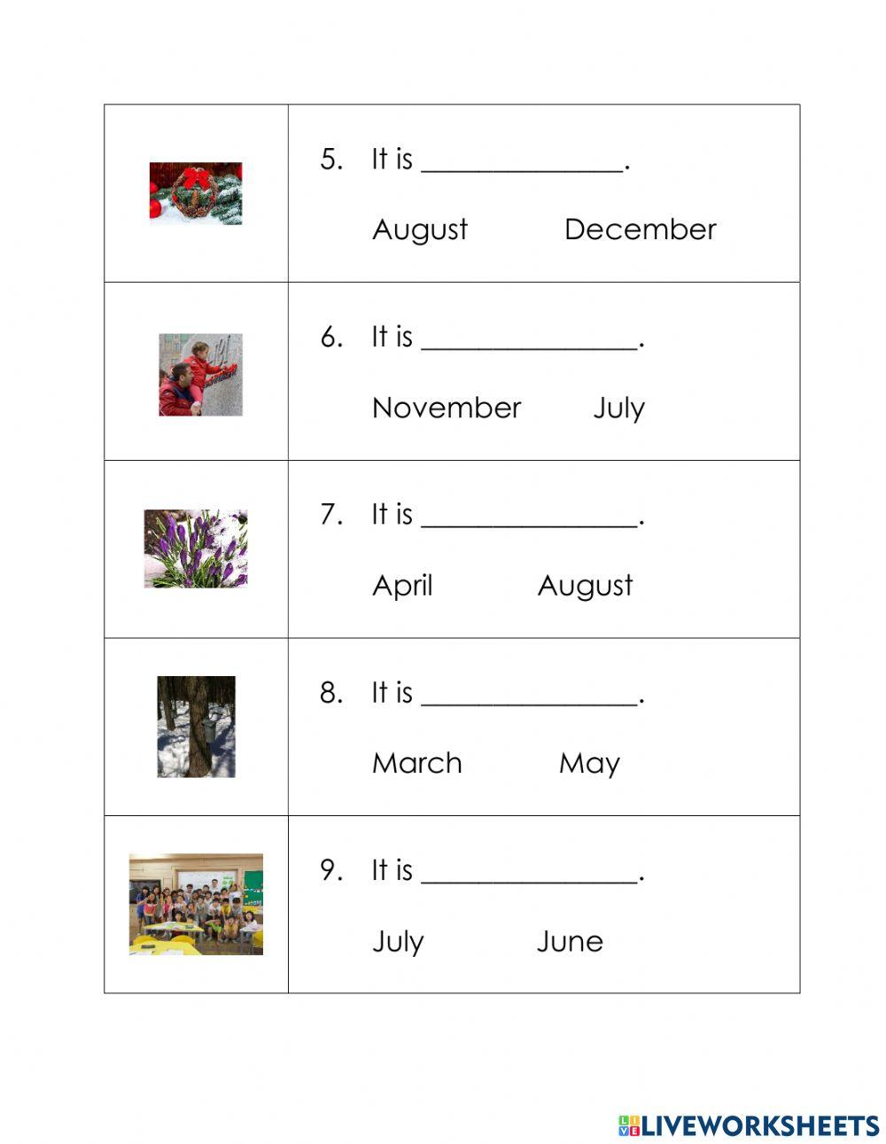 Months of the year online exercise for literacy level live worksheets