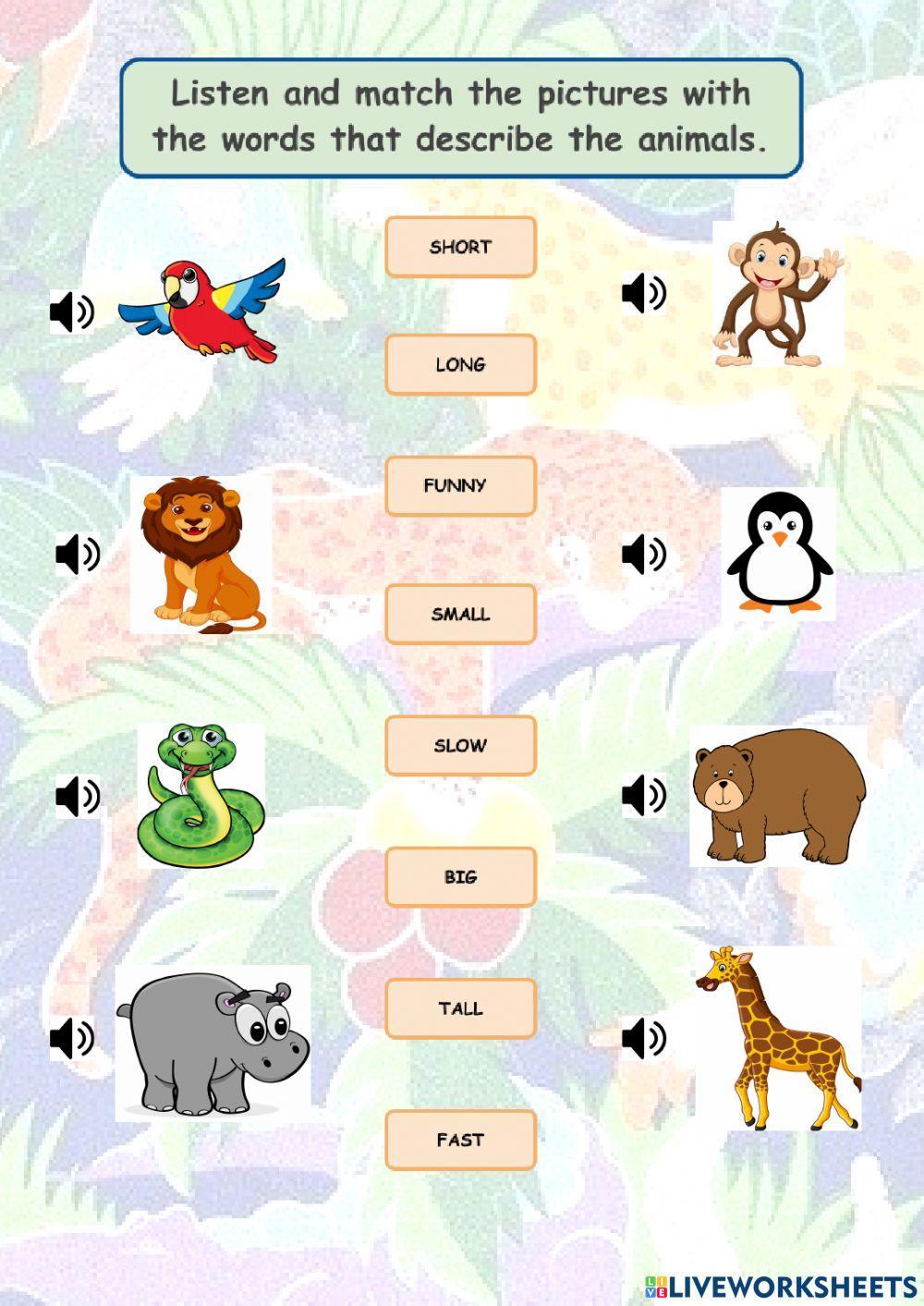 Practice 3 - Adjectives