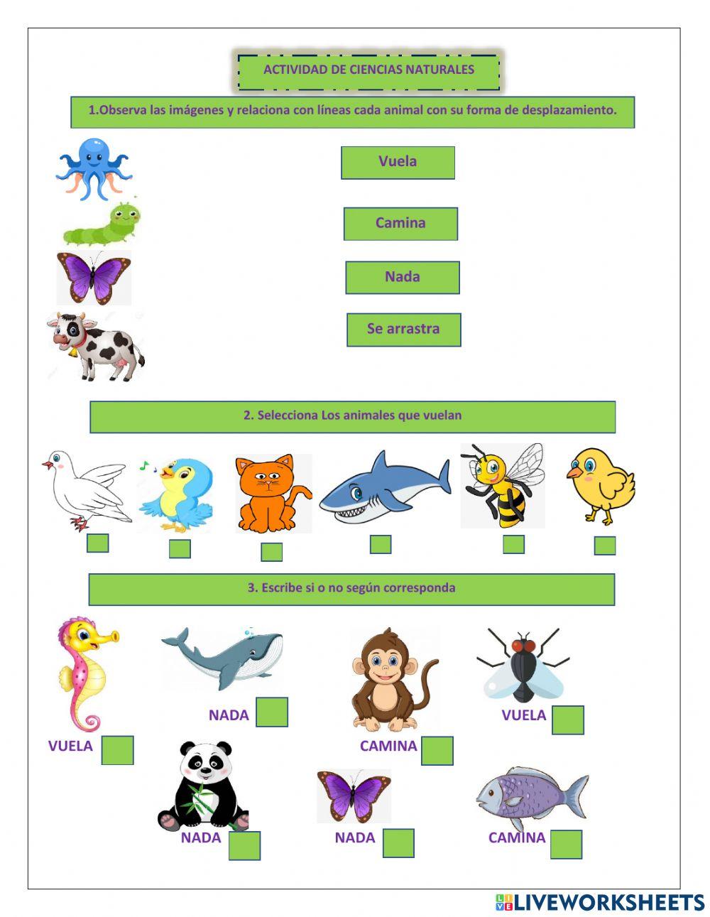 Actividad ciencias naturales