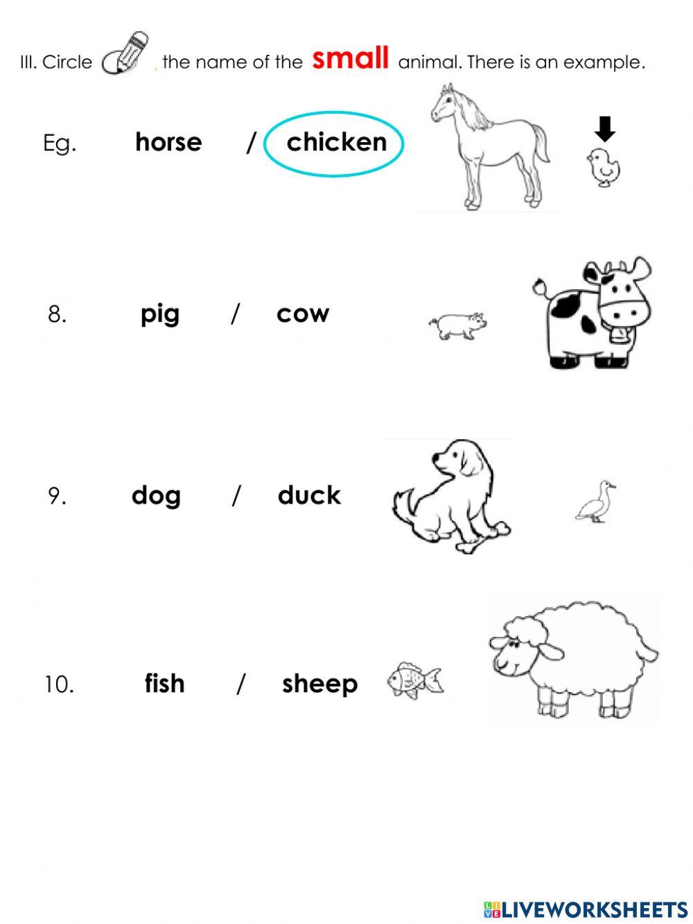 1g & 2g november quiz