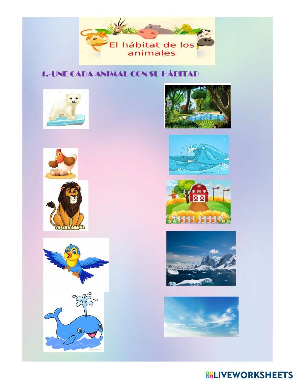 HÀBITAD DE LOS ANIMALES