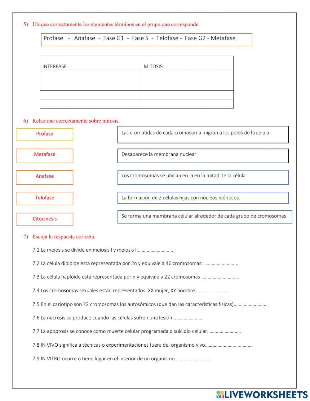 Evaluacion Segundo BGU