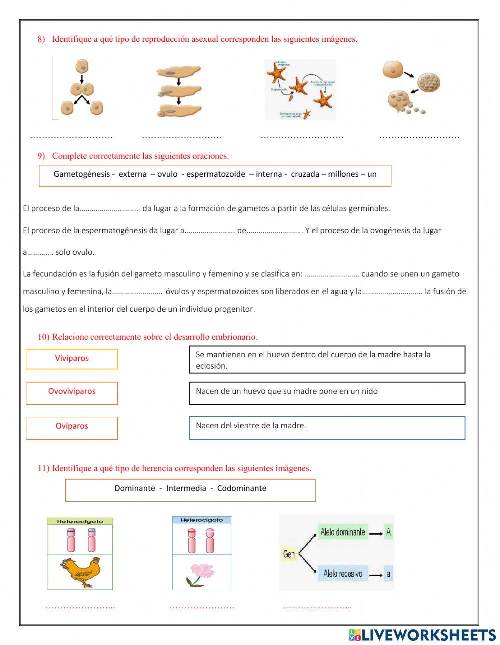 Evaluacion Segundo BGU