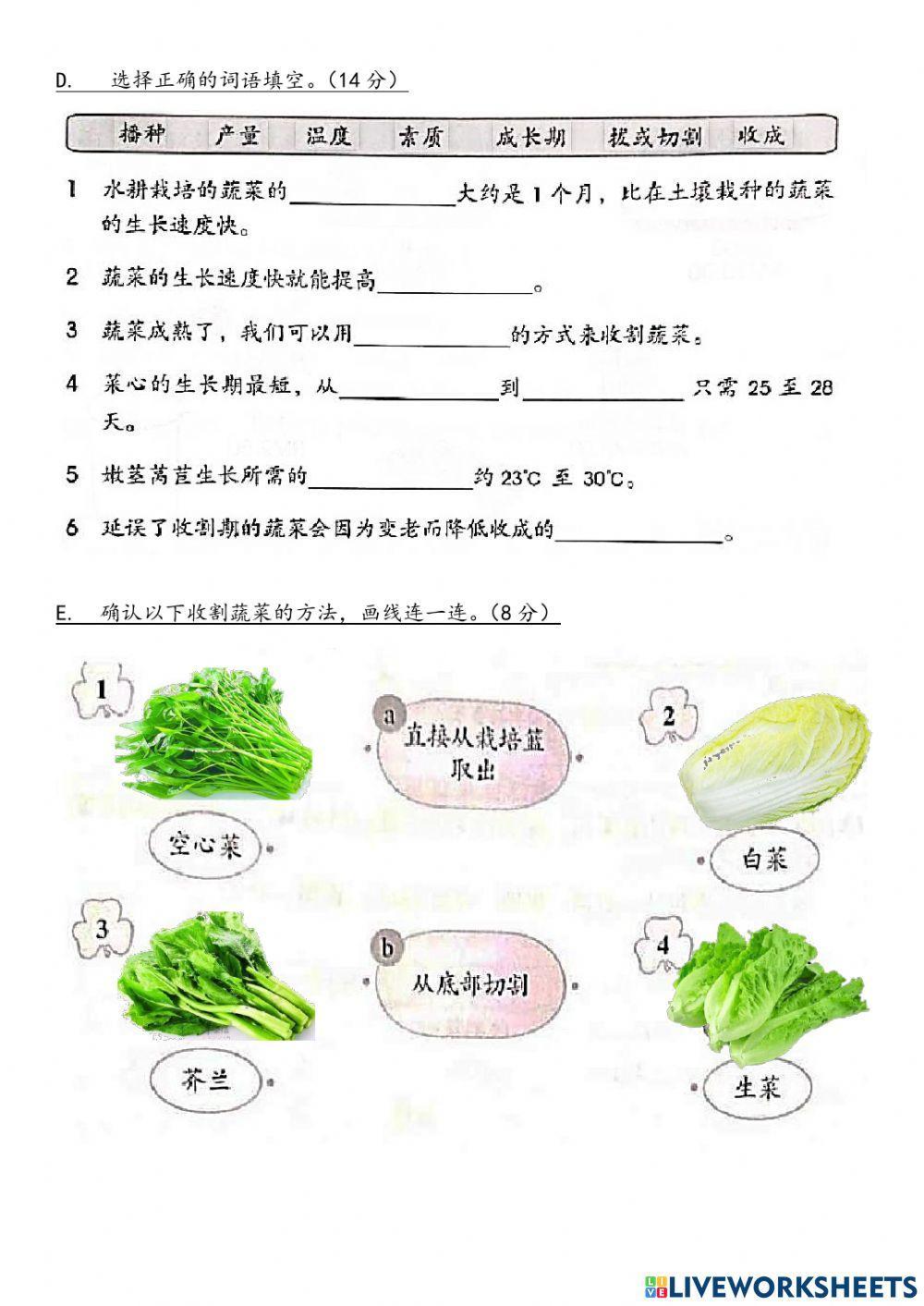 六年级设计与工艺评审