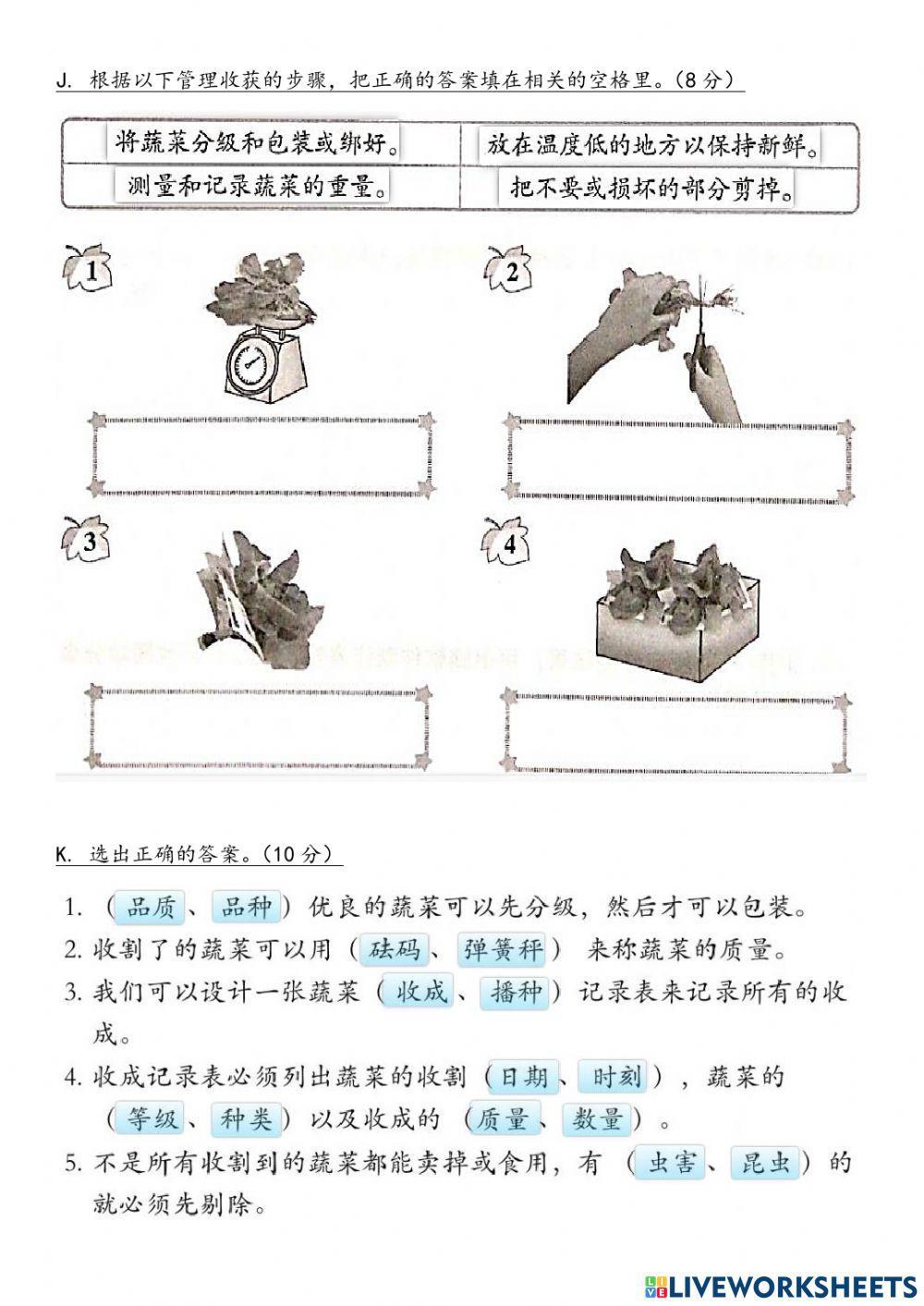 六年级设计与工艺评审