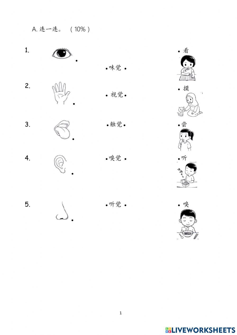 一年级科学上半年评估