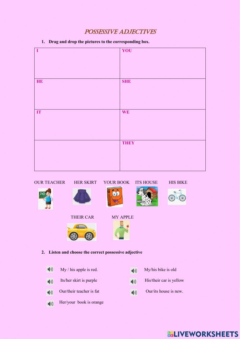 Possessive adjectives