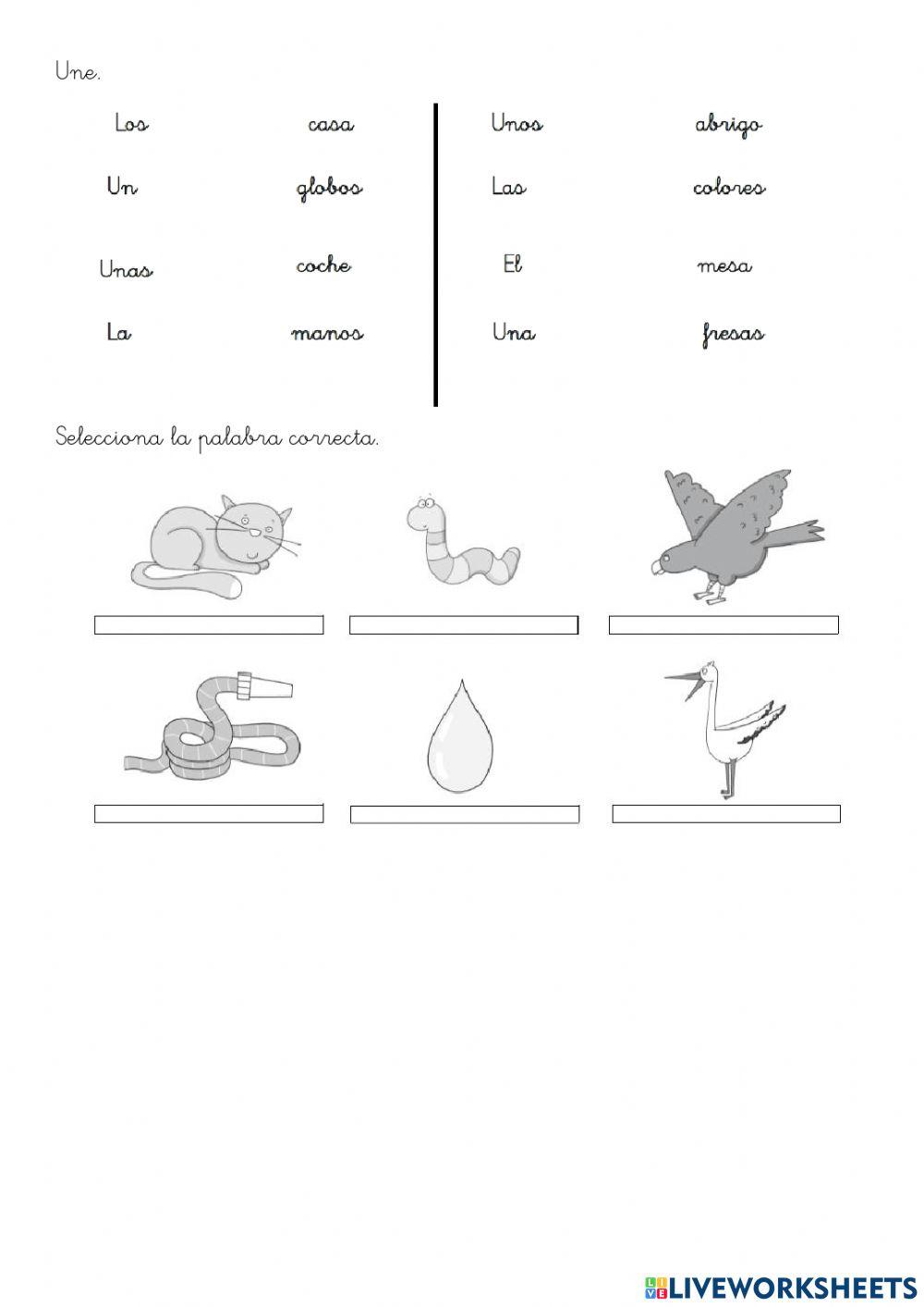 Repaso lengua 2º unidad 2
