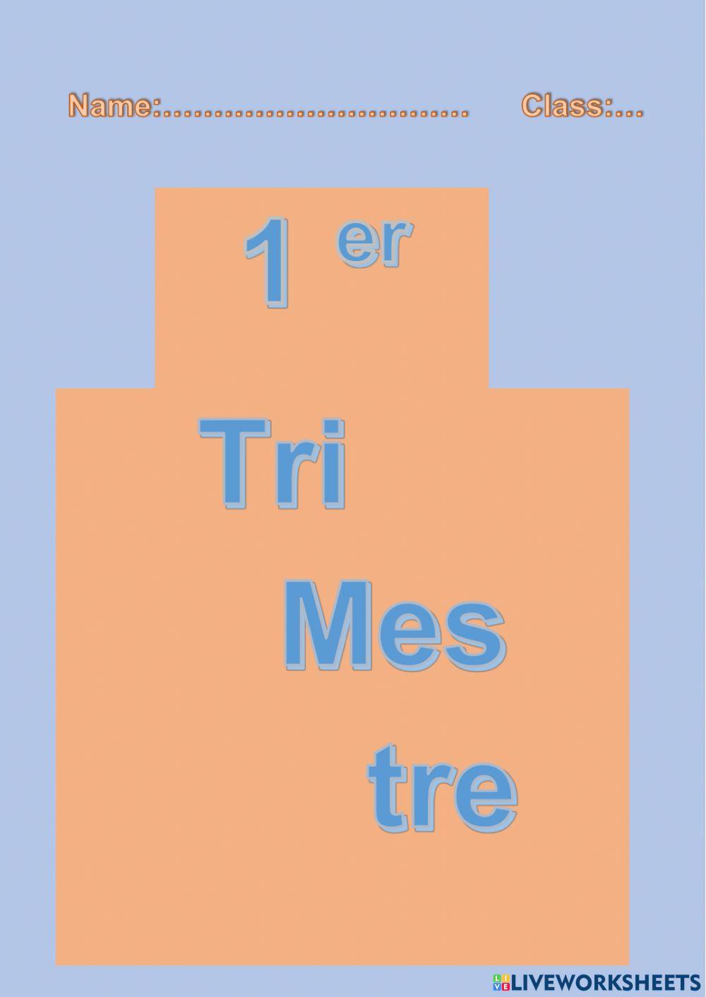 Separador por trimestre