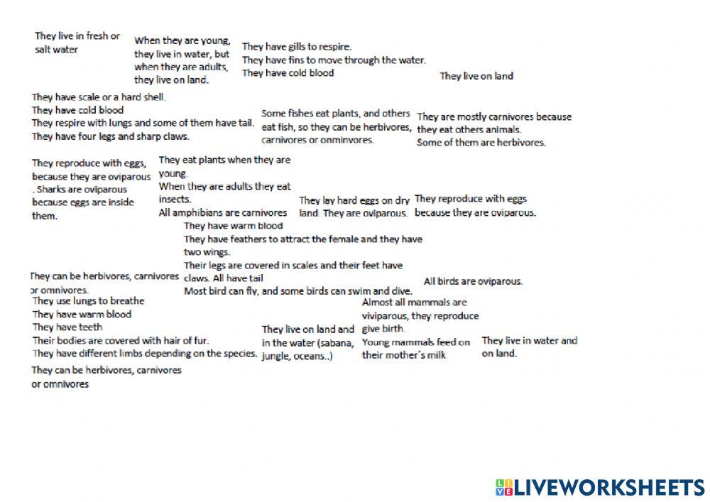 Drag and drop vertebrates