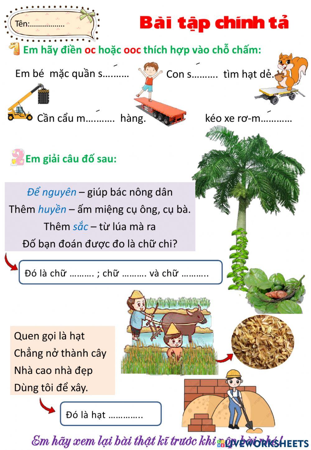 Chính tả Nắng phương Nam