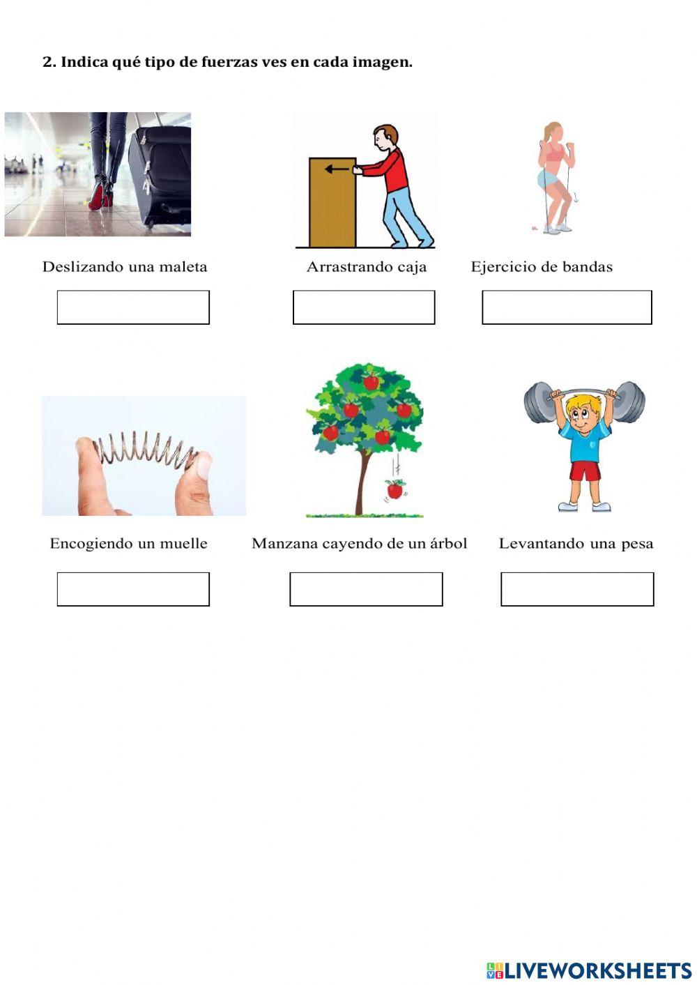 Guía de tipos de fuerzas