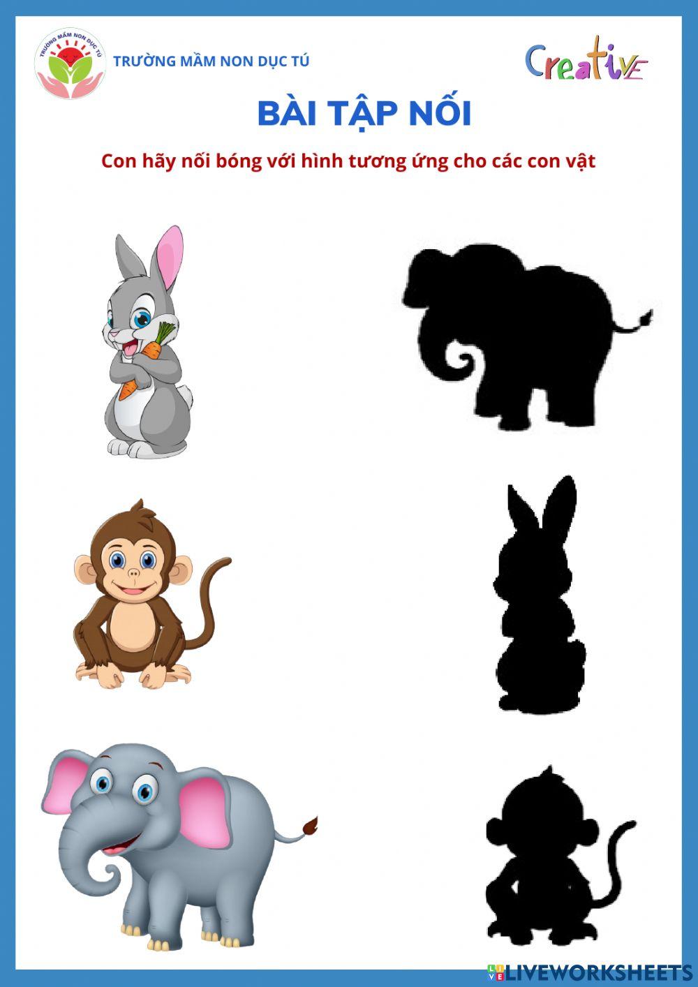 Bài tập Khám phá các con vật