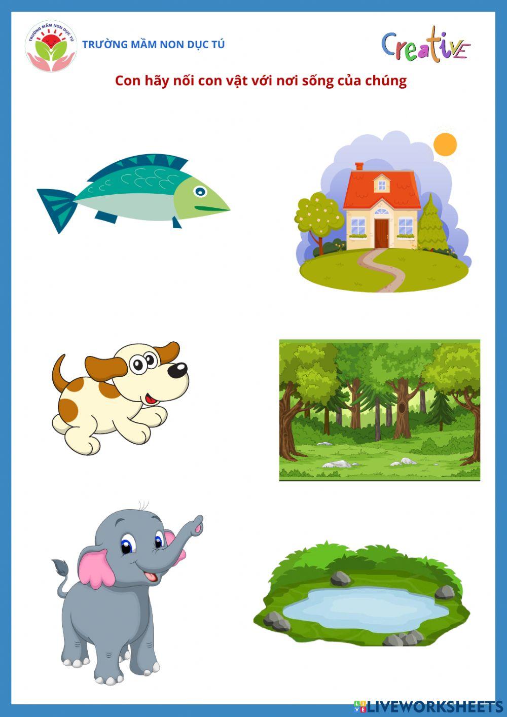 Bài tập Khám phá các con vật