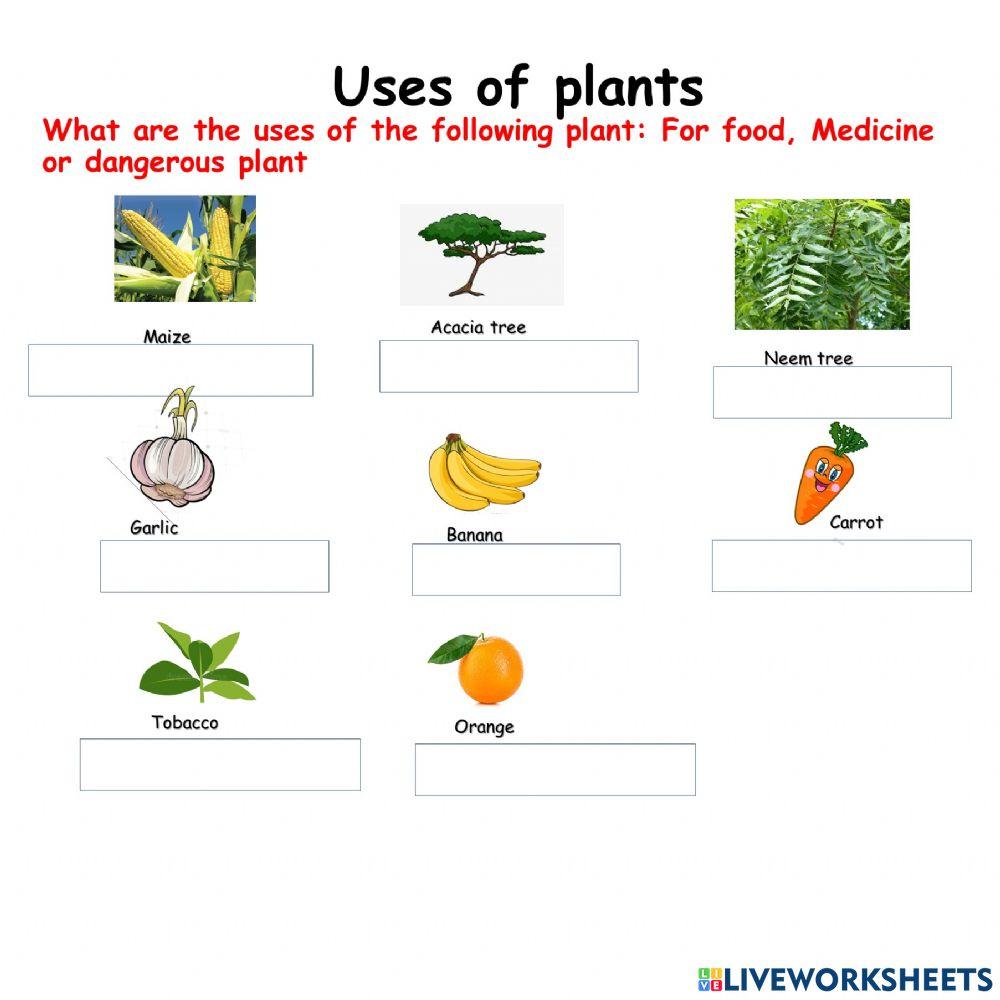 Uses of plant