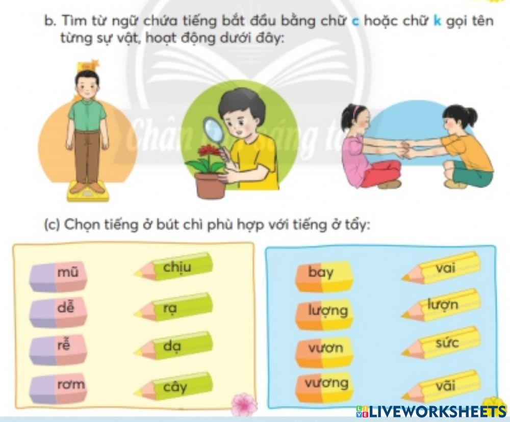 Bài tập chính tả Tuần 11