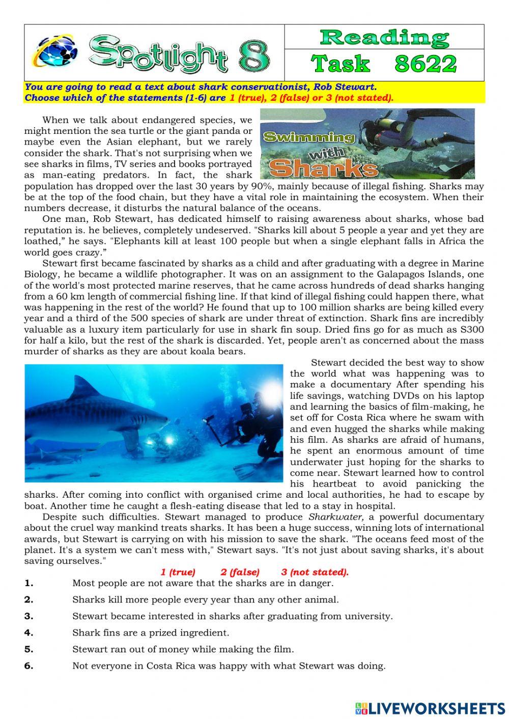 Spotlight 8 Task 8622