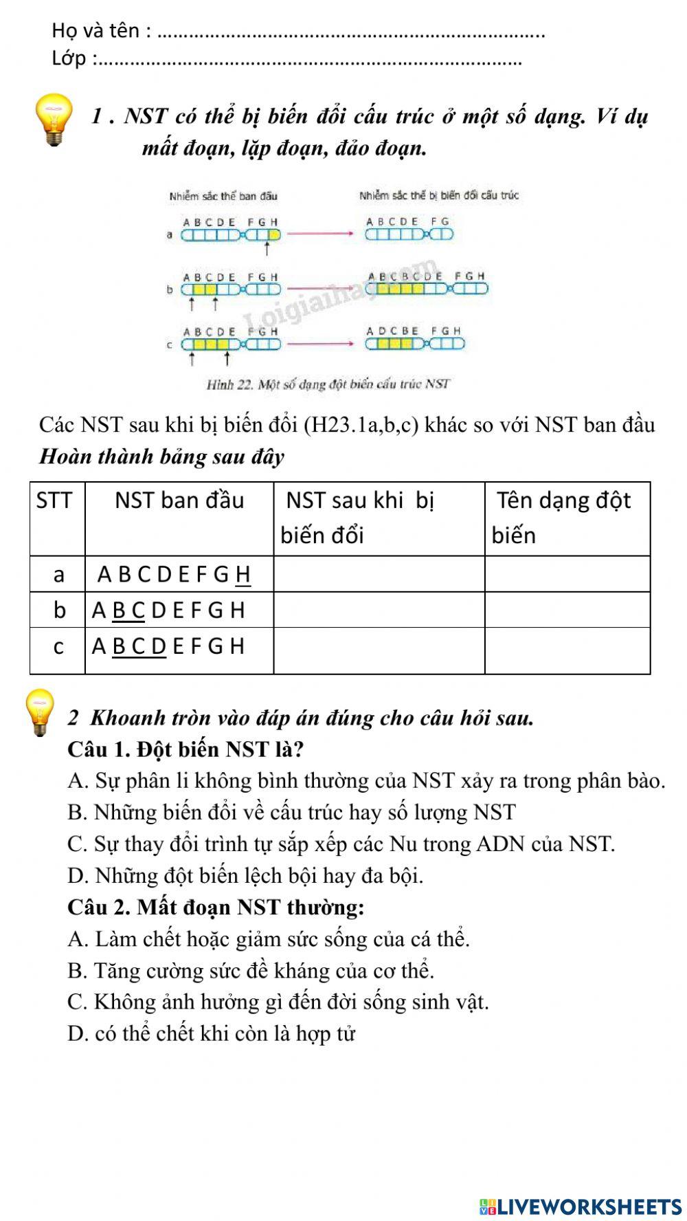 Bài tập NST