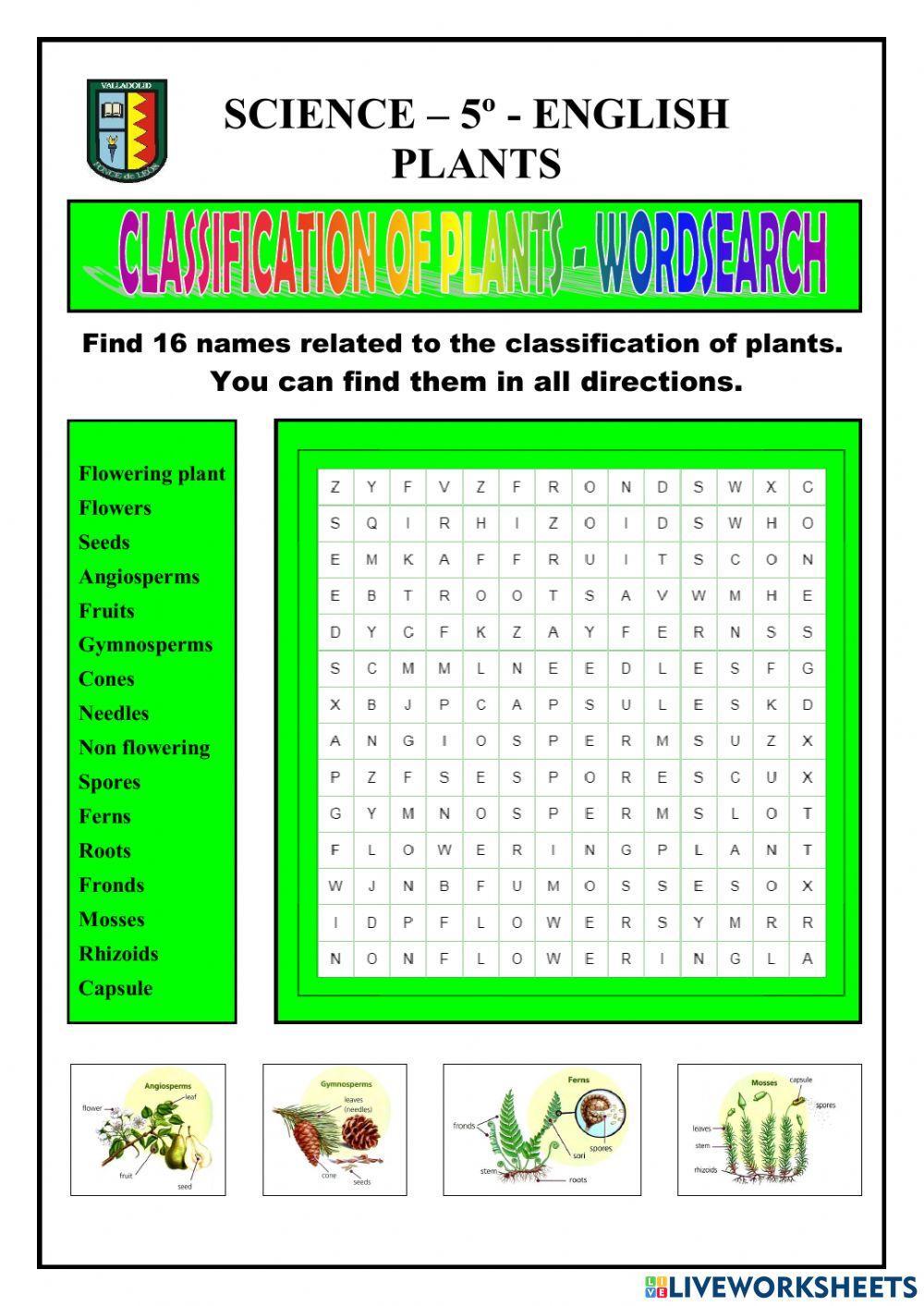 Classifications of the plants