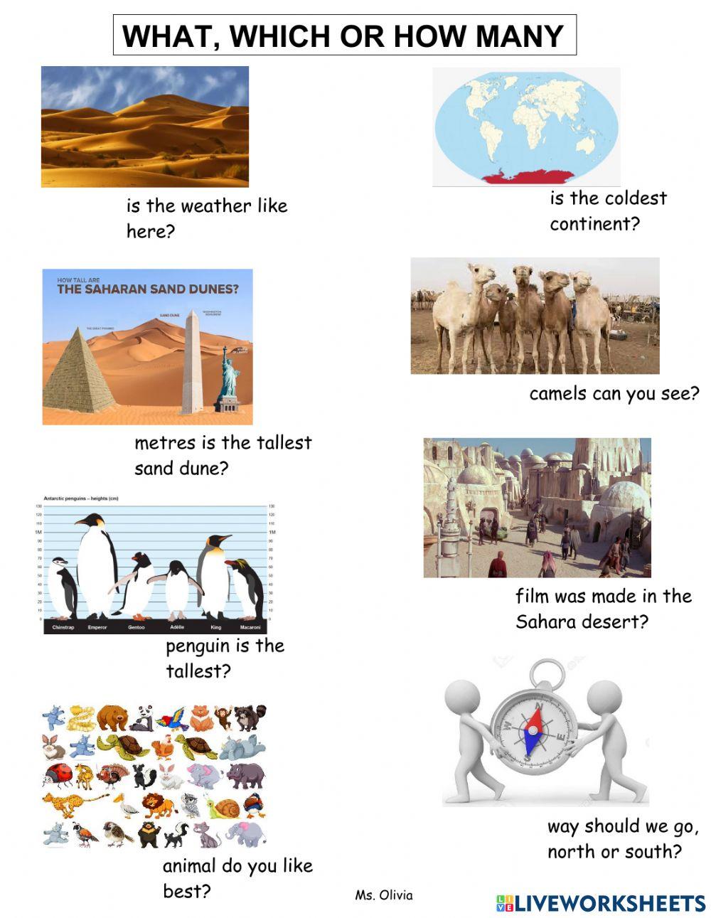 What, which or how many