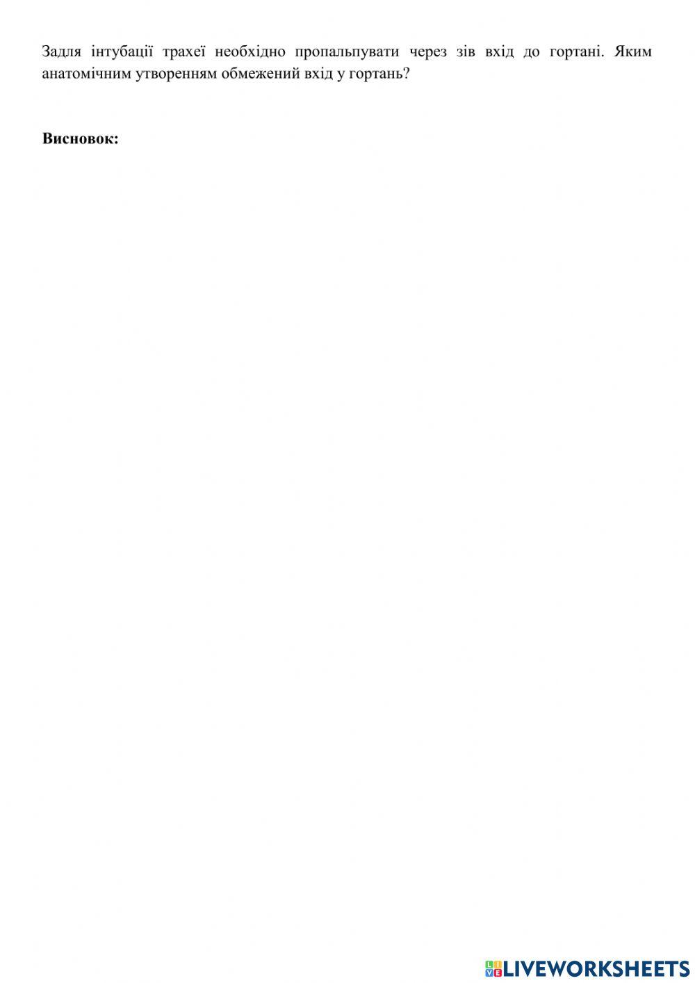 Анатомія верхніх дихальних шляхів