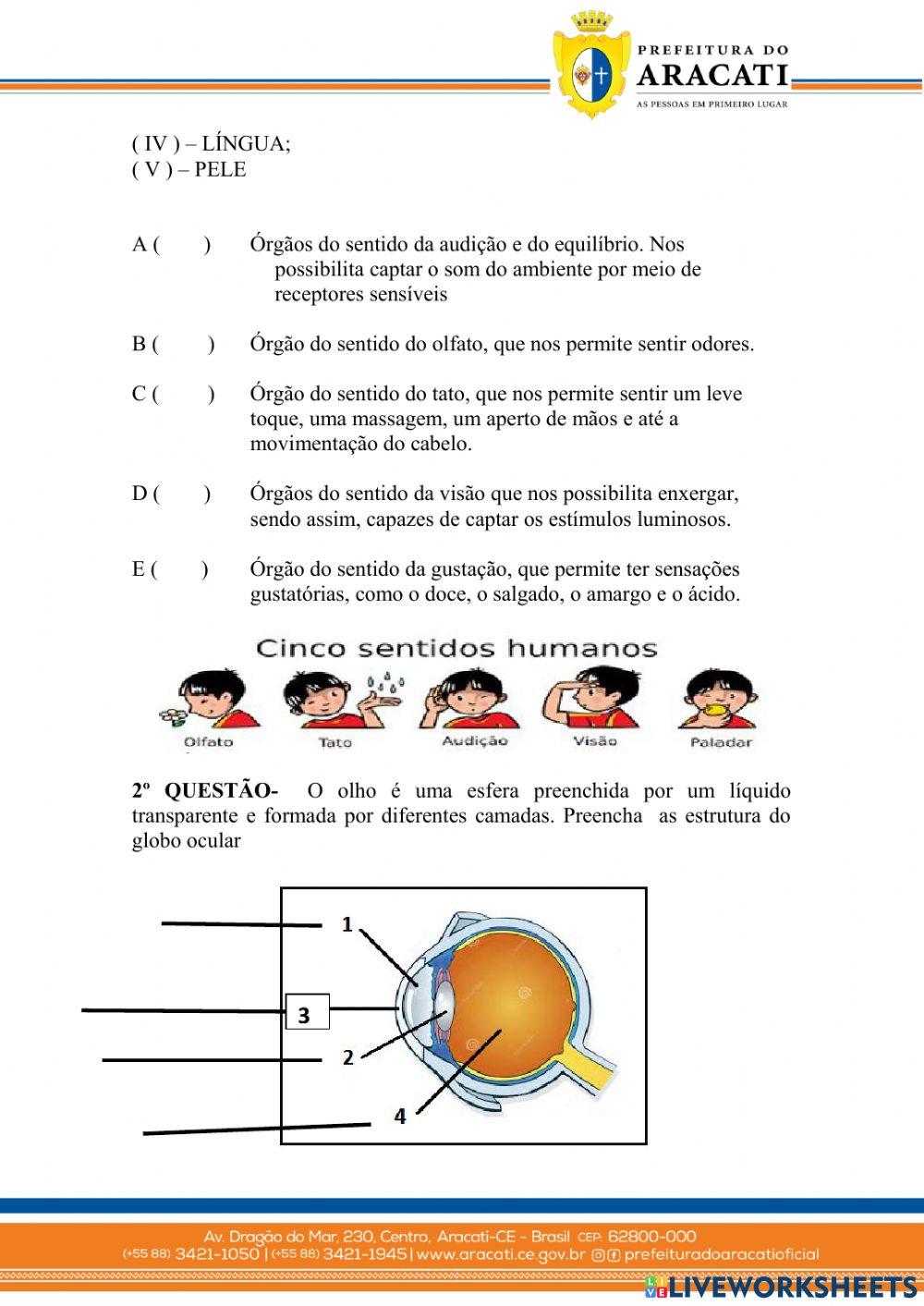 Atividade de recuperação 6º anos