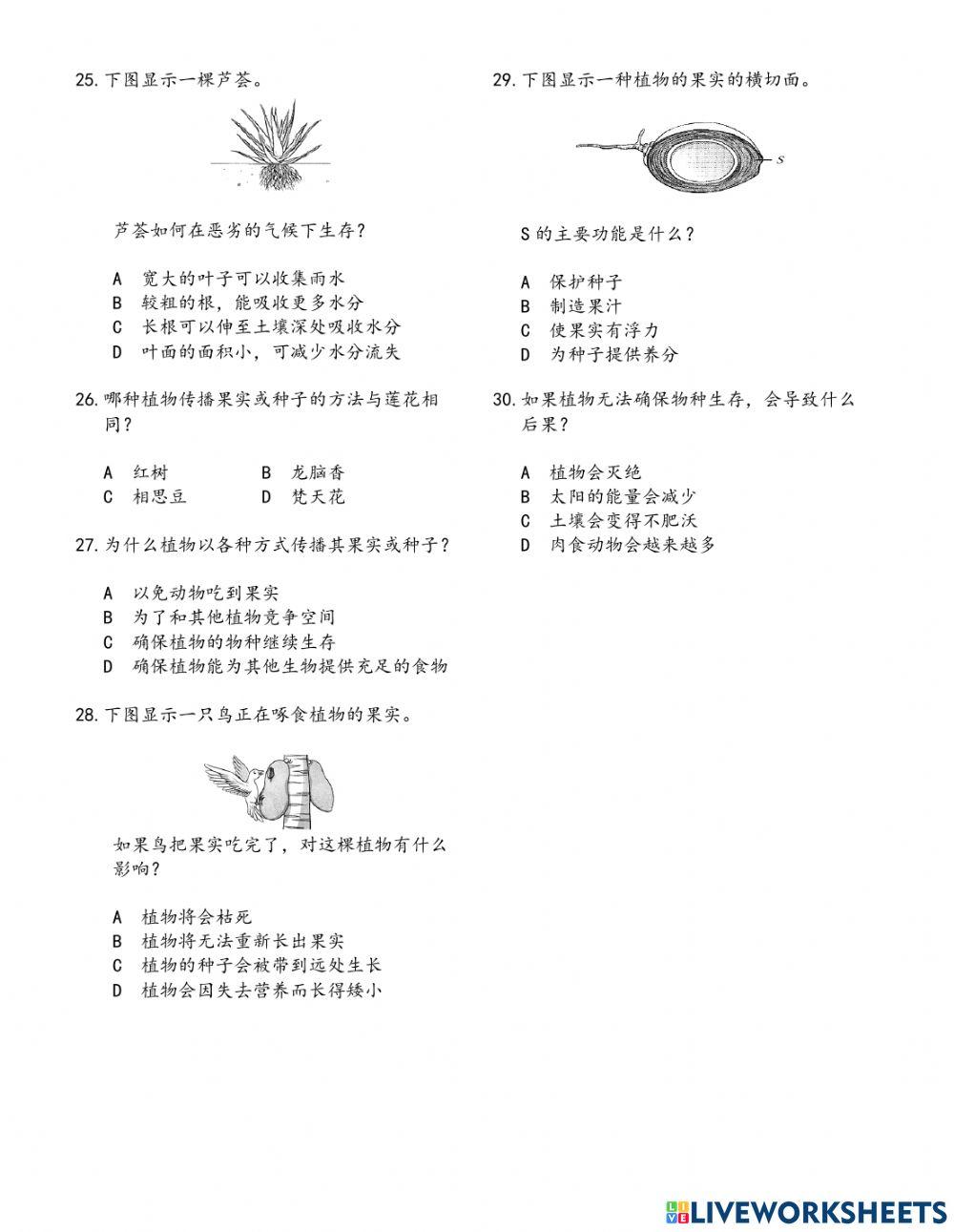 五年级科学常识比赛