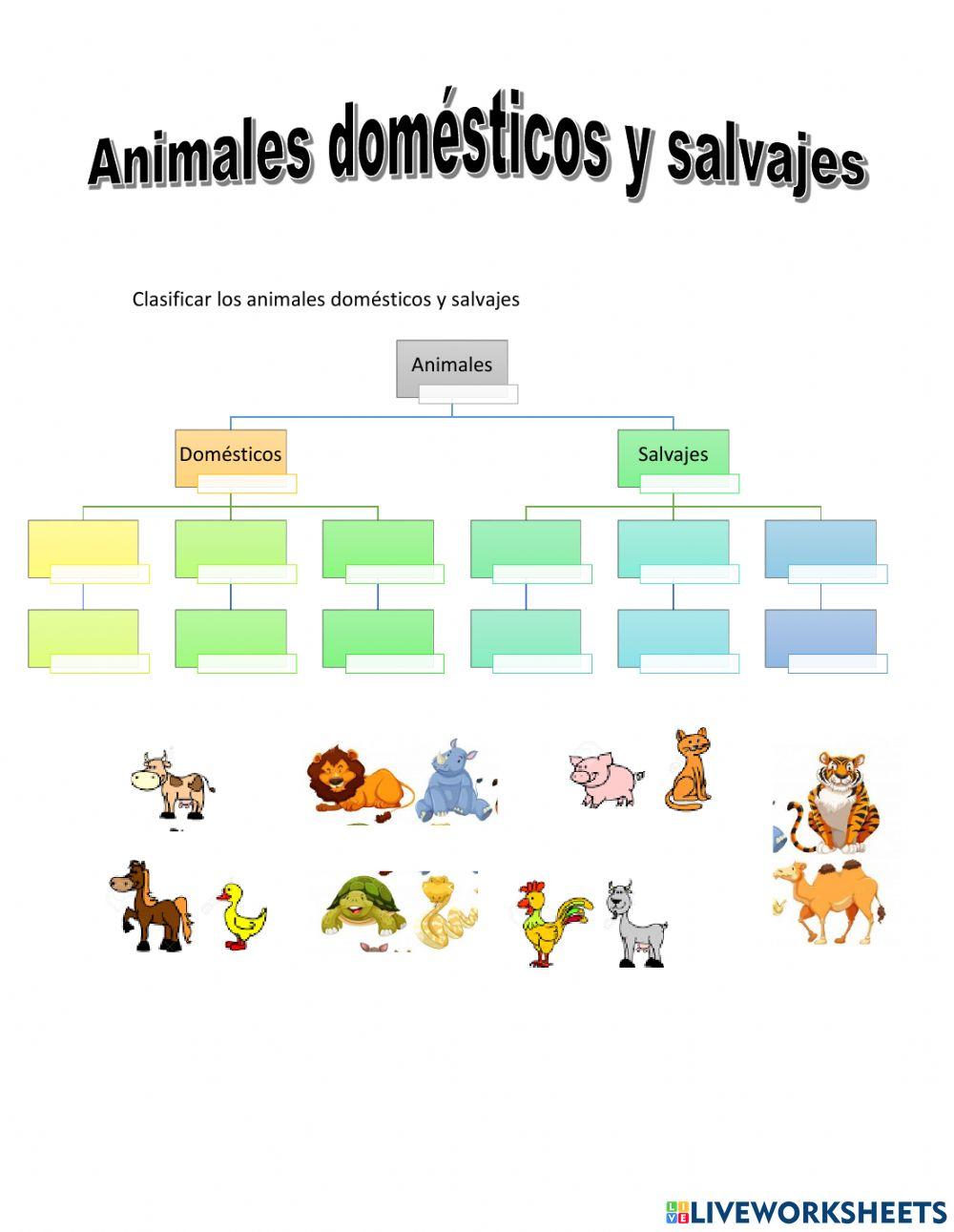 Animales domésticos y salvajes