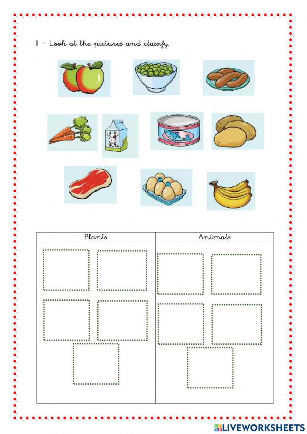 Final English Exam - 1st Grade
