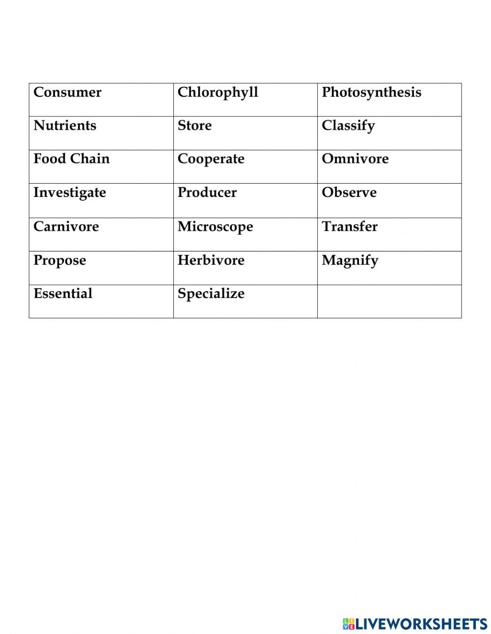 Reach 5 Unit 3 Gapfill
