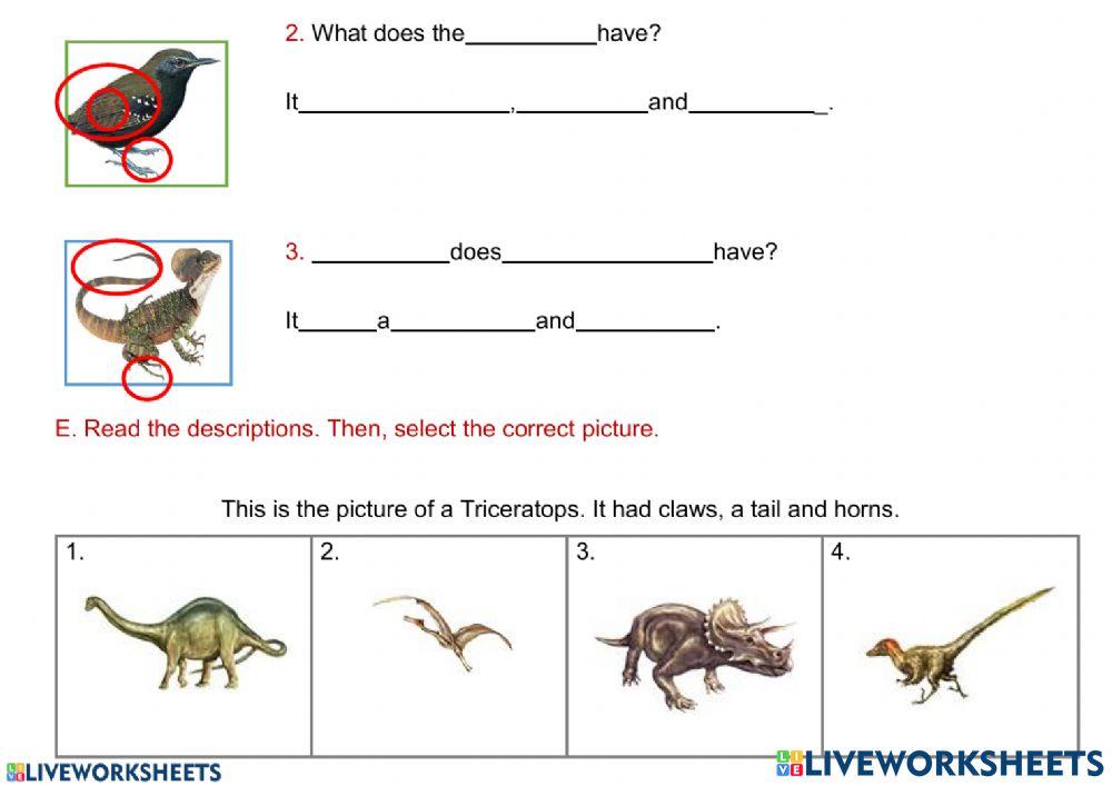 UNIT 5 LESSON 4- dinosaurs