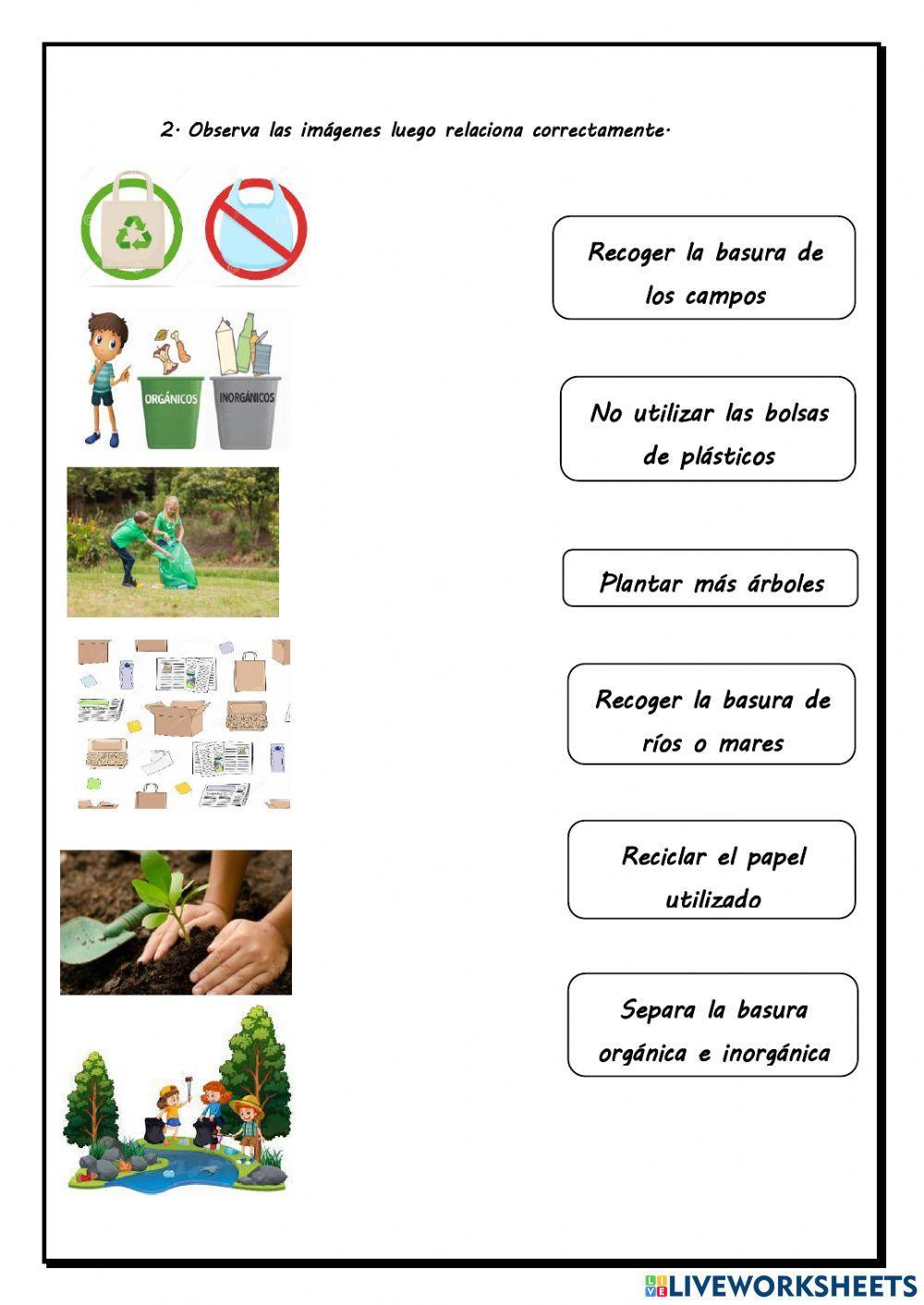 Cuidado del medio ambiente