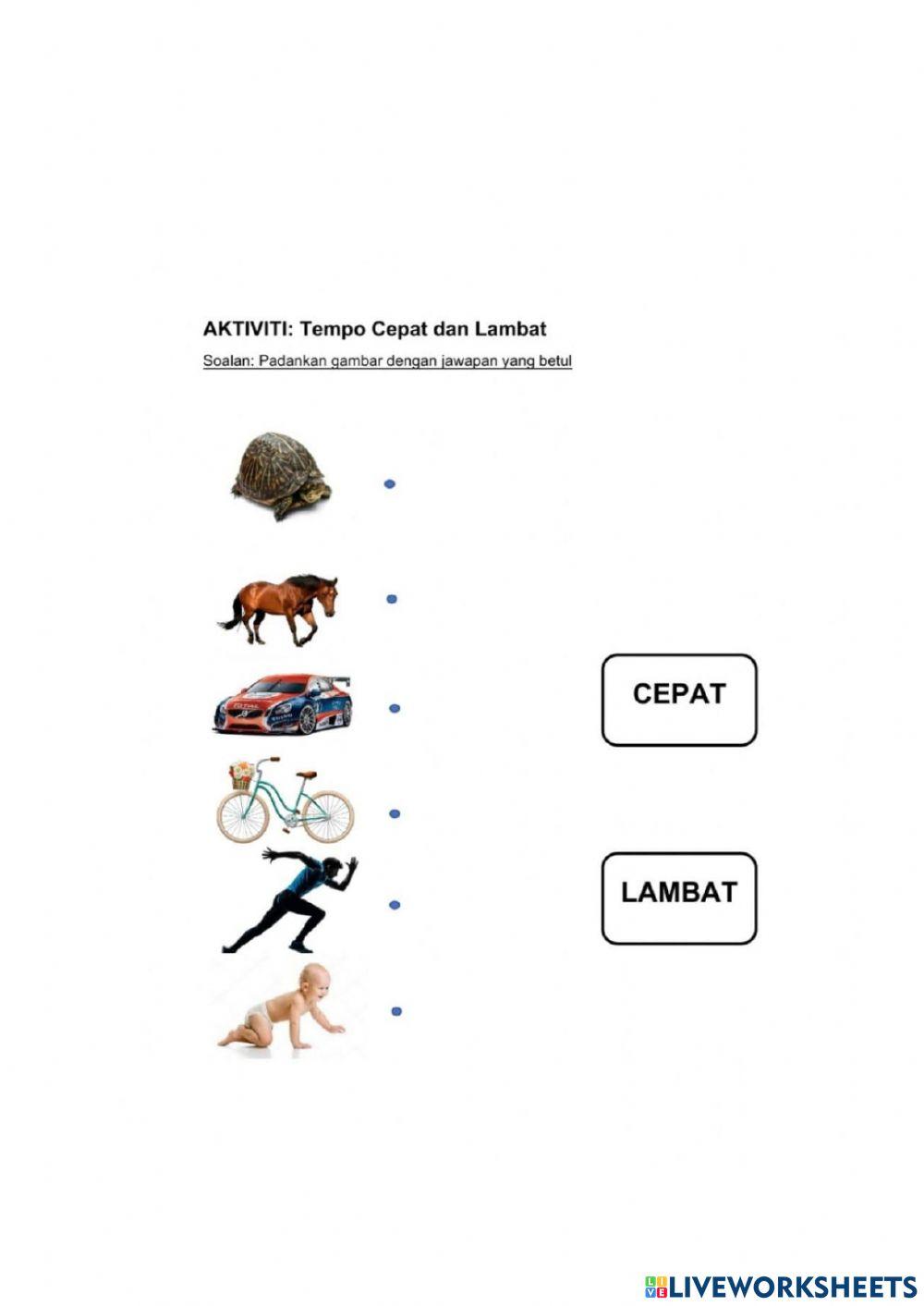 Pentaksiran Sumatif Muzik Tahun 2