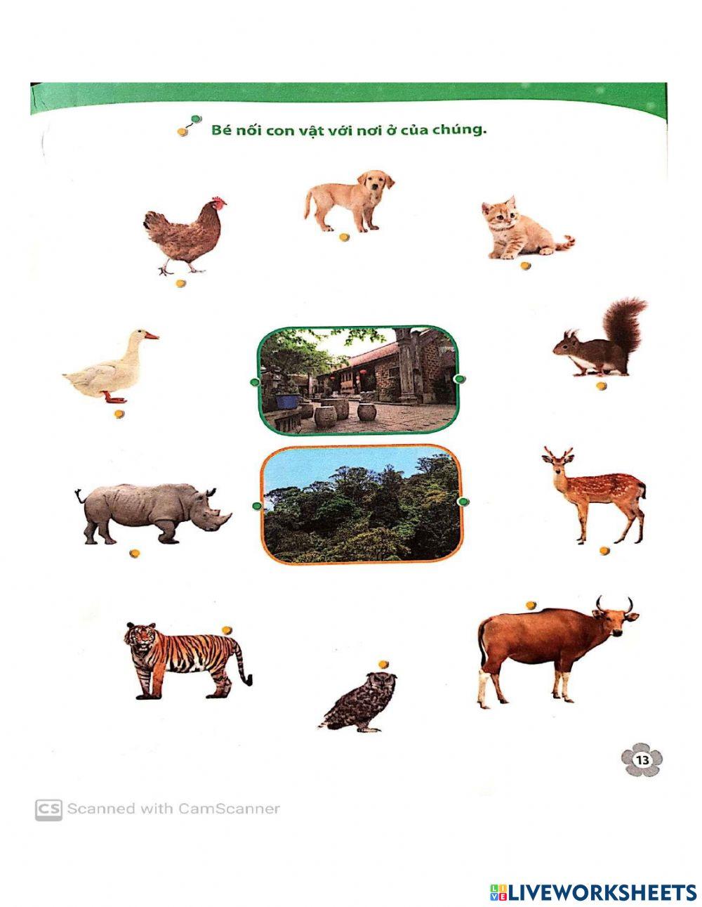 Cuốn MTXQ - Trang 13 - Lớp Mầm (3-4 tuổi)